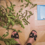 chopped up Christmas tree and dustpan in the living room