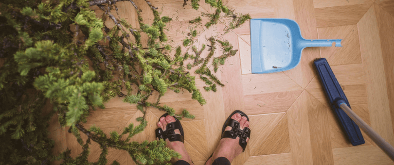 chopped up Christmas tree and dustpan in the living room